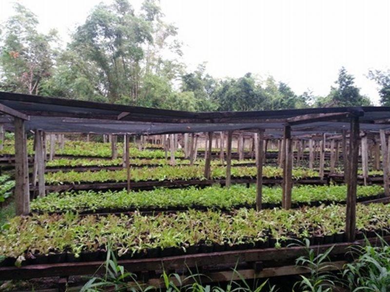 Bohol Bee Farm Otel Panglao Dış mekan fotoğraf