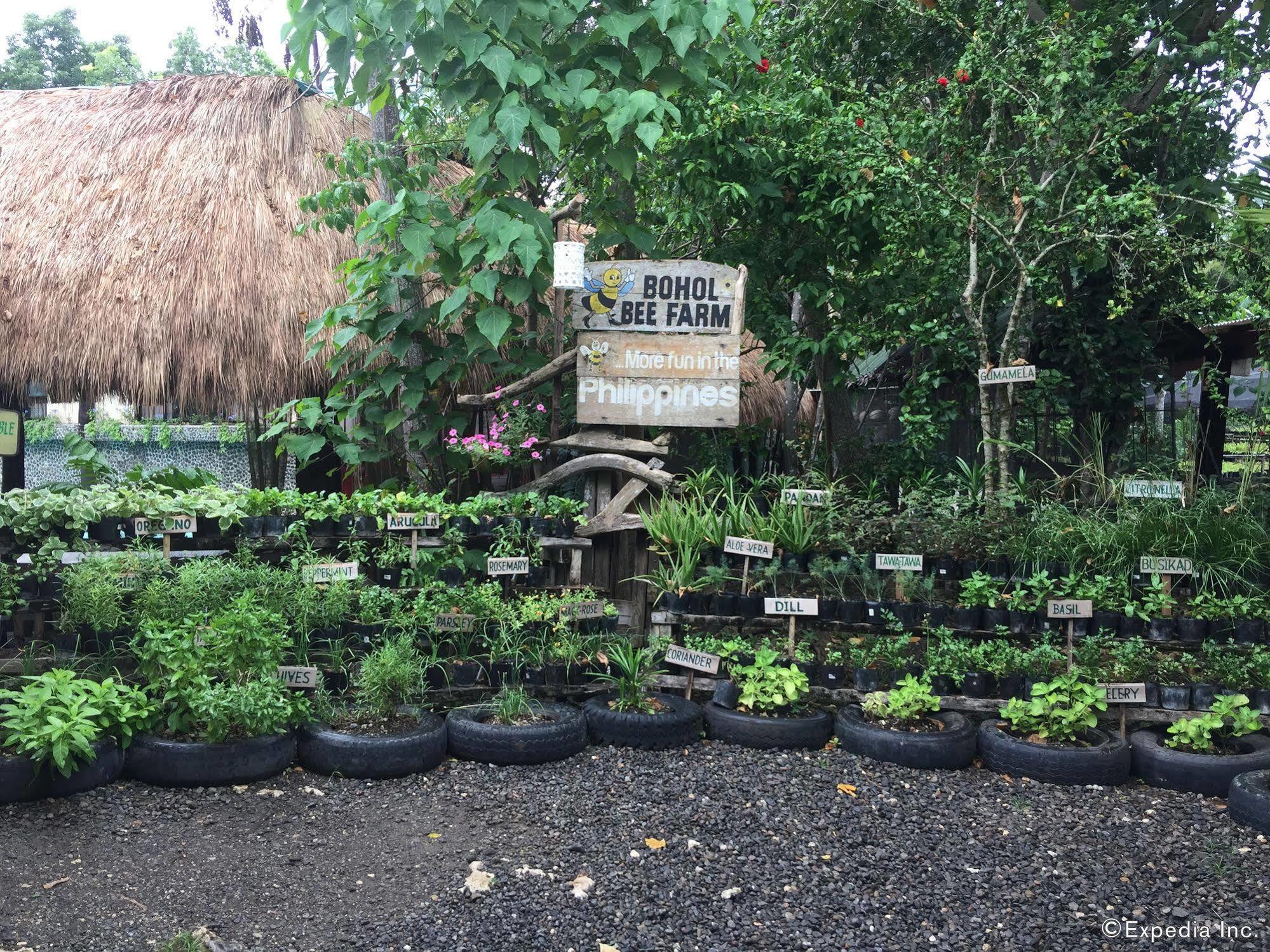 Bohol Bee Farm Otel Panglao Dış mekan fotoğraf